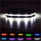 Brightest Light up Dog Collars - the Original LED Dog Collar with 1,000 Feet of Visibility - USB Rechargeable Waterproof Dog Collar Light - Dog Lights for Night Walking - USA Brand